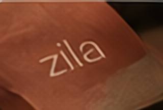 A terracotta Zila bag with a cream wordmark.